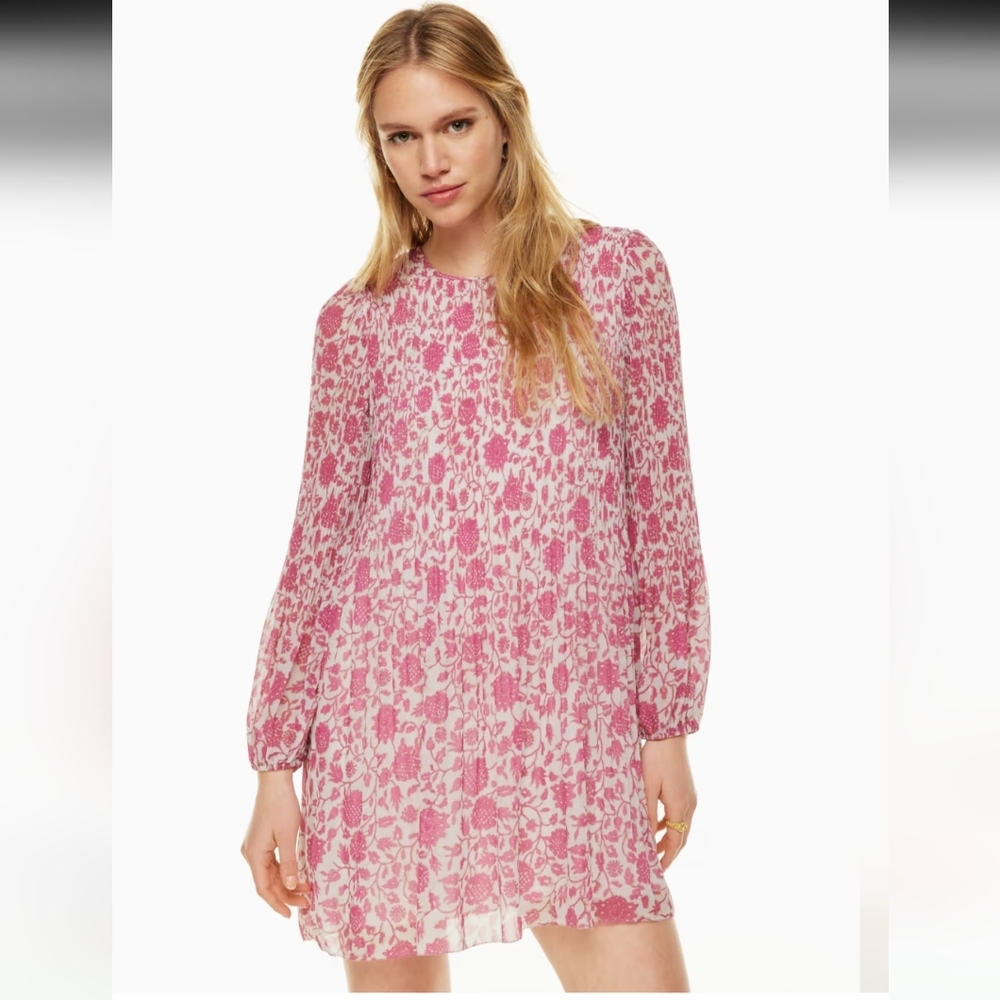 Aritzia Daydreamer Mini Dress